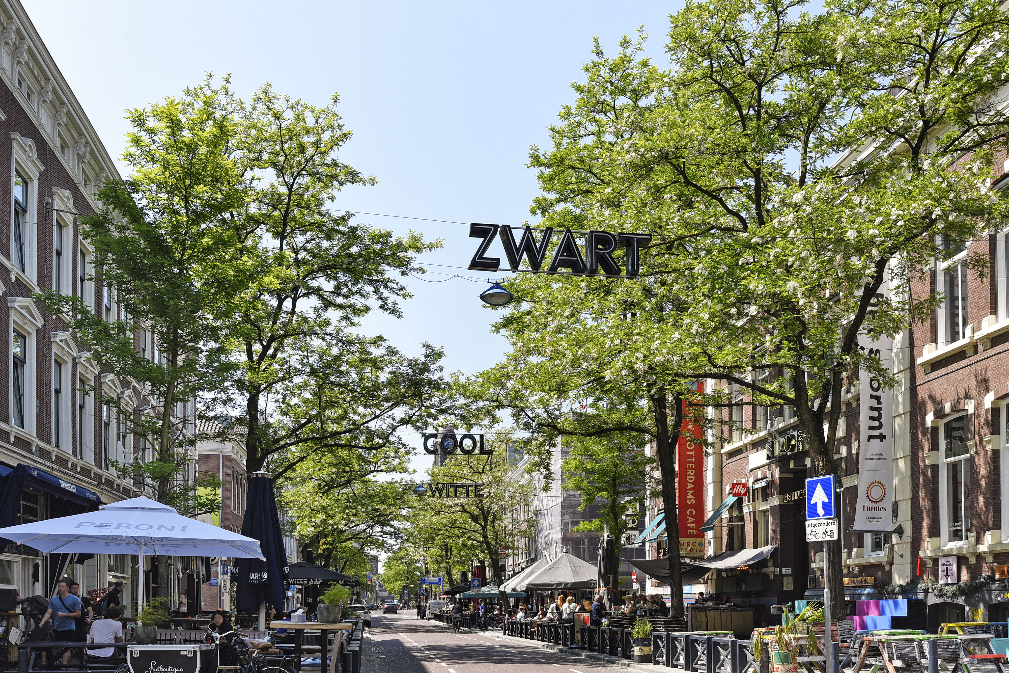 Witte de Withstraat 3012BT Rotterdam, City